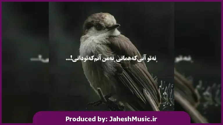 دانلود آهنگ کردی ئامینی از کریم گولانی و اوژین نوزاد